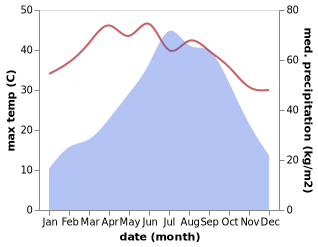 temperature and rainfall during the year in Bihpuriagaon