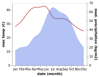 temperature and rainfall during the year in Bokajan