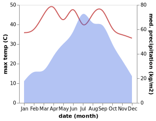 temperature and rainfall during the year in Dhing