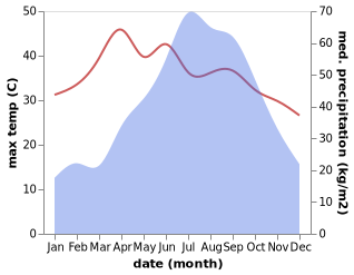 temperature and rainfall during the year in Hajo