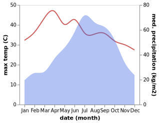 temperature and rainfall during the year in Hojai