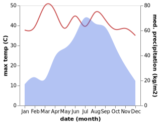 temperature and rainfall during the year in Birpara