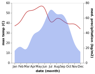 temperature and rainfall during the year in Raiganj