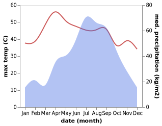 temperature and rainfall during the year in Birpur