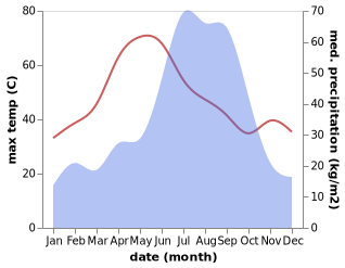 temperature and rainfall during the year in Dinapore