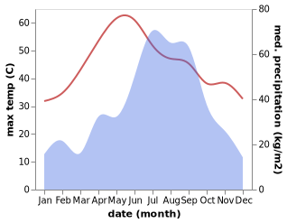 temperature and rainfall during the year in Raxaul