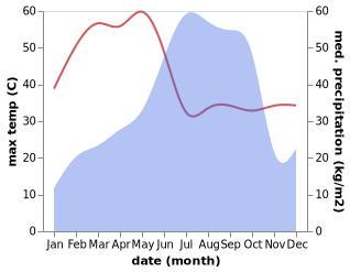 temperature and rainfall during the year in Gidam