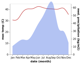 temperature and rainfall during the year in Bedi