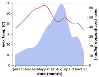 temperature and rainfall during the year in Bhachau