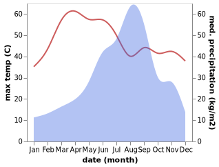 temperature and rainfall during the year in Deesa