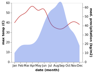 temperature and rainfall during the year in Kodinar