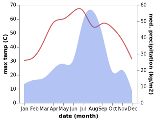 temperature and rainfall during the year in Ellenabad