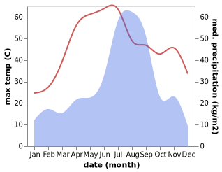 temperature and rainfall during the year in Hodal