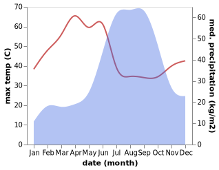 temperature and rainfall during the year in Bhikangaon