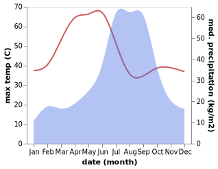 temperature and rainfall during the year in Damoh