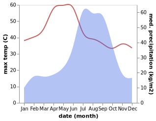 temperature and rainfall during the year in Pali