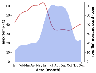 temperature and rainfall during the year in Mangrul Pir