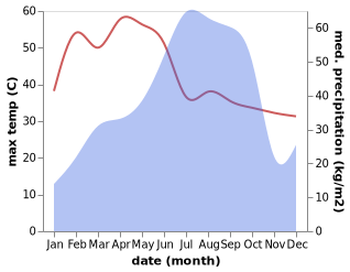 temperature and rainfall during the year in Belaguntha