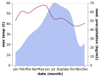 temperature and rainfall during the year in Bhadrakh