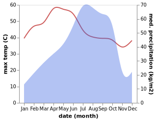 temperature and rainfall during the year in Jaleshwar