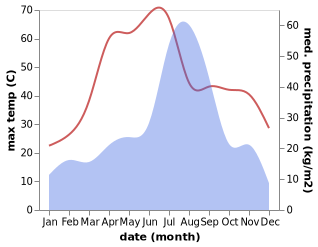 temperature and rainfall during the year in Dirba