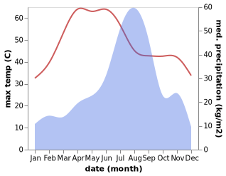 temperature and rainfall during the year in Basi