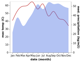 temperature and rainfall during the year in Alangulam