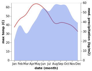 temperature and rainfall during the year in Alappakkam