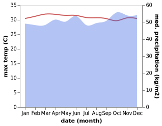 temperature and rainfall during the year in Blangpidie