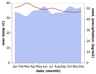 temperature and rainfall during the year in Jambi-baru