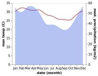 temperature and rainfall during the year in Barengkok Hilir