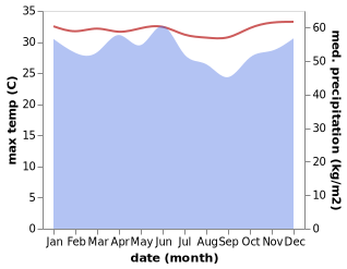 temperature and rainfall during the year in Donggala