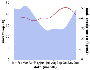 temperature and rainfall during the year in Pacitan