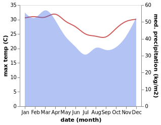 temperature and rainfall during the year in Ringin Kembar