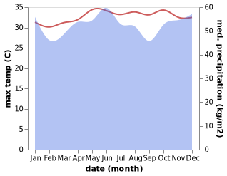 temperature and rainfall during the year in Tanjungselor