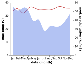 temperature and rainfall during the year in Betong