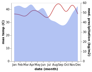 temperature and rainfall during the year in Bungamas