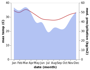 temperature and rainfall during the year in Dorosoro