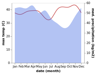 temperature and rainfall during the year in Negararatu