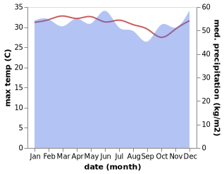 temperature and rainfall during the year in Pasarkuok