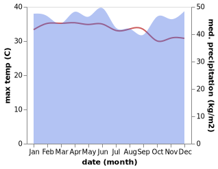 temperature and rainfall during the year in Pintupadang