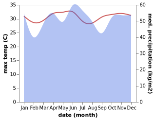 temperature and rainfall during the year in Rainis