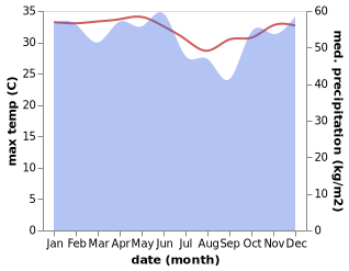 temperature and rainfall during the year in Telukpahedai