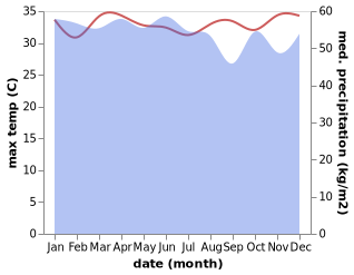 temperature and rainfall during the year in Timbuni