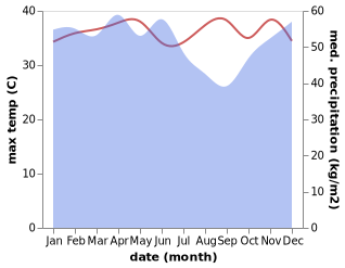 temperature and rainfall during the year in Muaratembesi