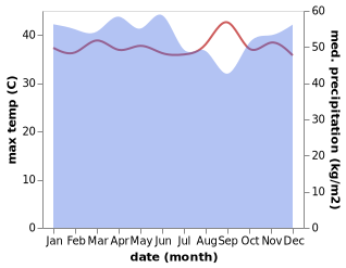 temperature and rainfall during the year in Muaratewe