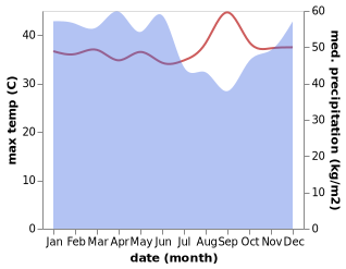 temperature and rainfall during the year in Pulangpisau