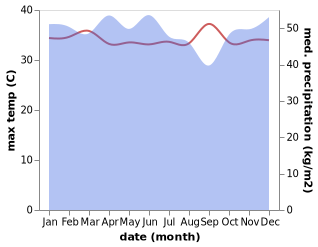 temperature and rainfall during the year in Purukcahu