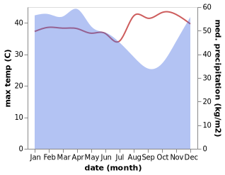 temperature and rainfall during the year in Metro