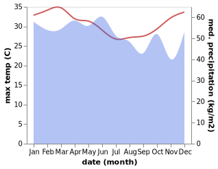 temperature and rainfall during the year in Amahai